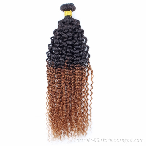 T1b/30 Color Jerry Curly Brazilian Hair Bundles With Closure Vendors Cuticle Aligned Virgin Human Hair Wholesales Extension